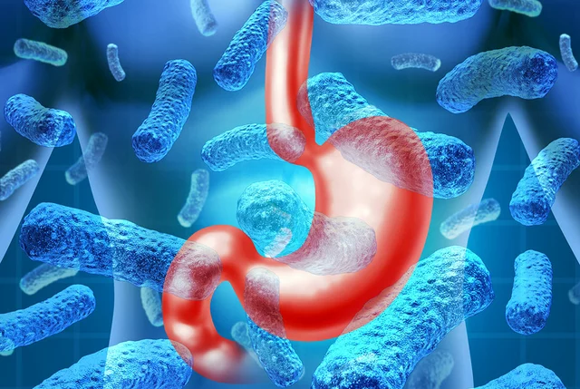 The Role of Probiotics in Managing Atrophic Gastroenteritis