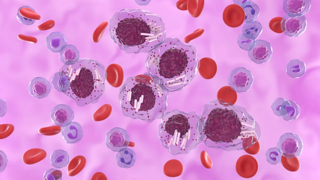 The Relationship between Chronic Lymphocytic Leukemia and Other Cancers